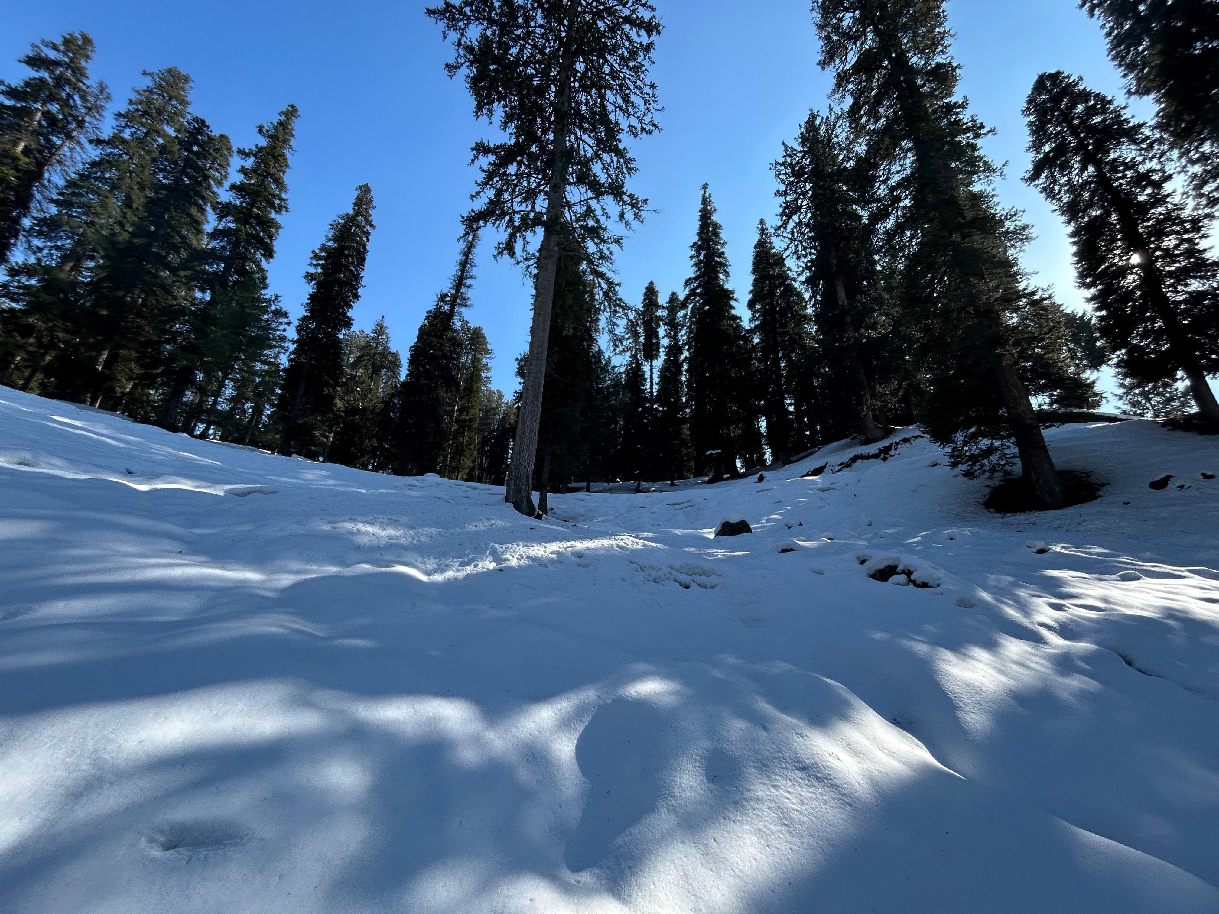 Kashmir